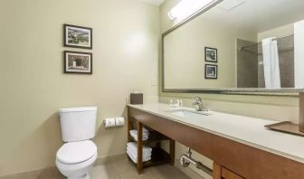 Private guest bathroom with shower at Comfort Inn Pomona Near Fairplex.