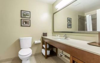 Private guest bathroom with shower at Comfort Inn Pomona Near Fairplex.