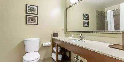 Private guest bathroom with shower at Comfort Inn Pomona Near Fairplex.