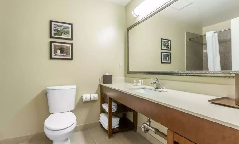 Private guest bathroom with shower at Comfort Inn Pomona Near Fairplex.