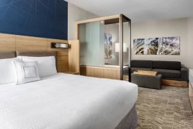 Springhill Suites By Marriott Belmont / Redwood Shores