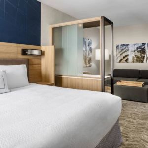 Springhill Suites By Marriott Belmont / Redwood Shores