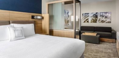 Springhill Suites By Marriott Belmont / Redwood Shores