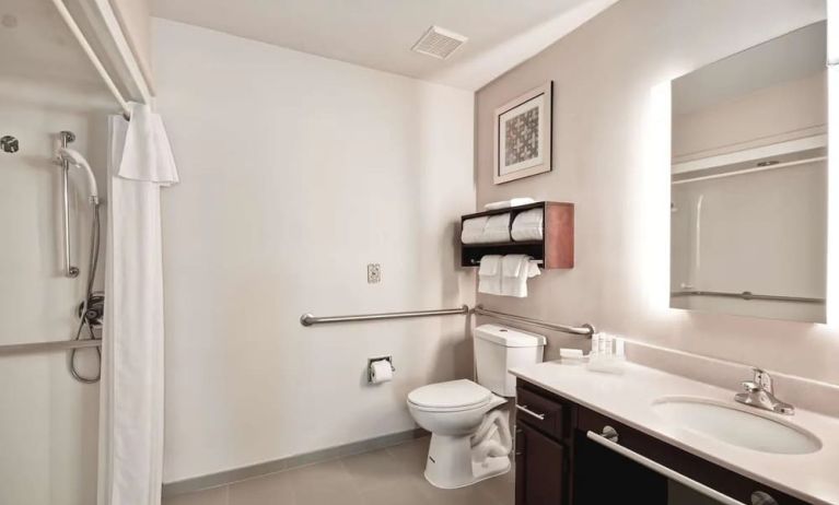 Private guest bathroom with shower at Homewood Suites By Hilton Dallas-Lewisville.