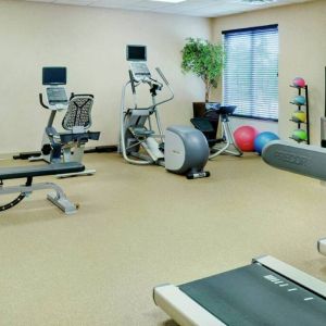 Fitness center available at Hilton Garden Inn Toronto/Burlington.