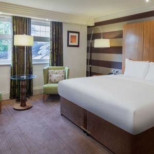 Delux king with natural light at DoubleTree By Hilton Stratford-upon-Avon.