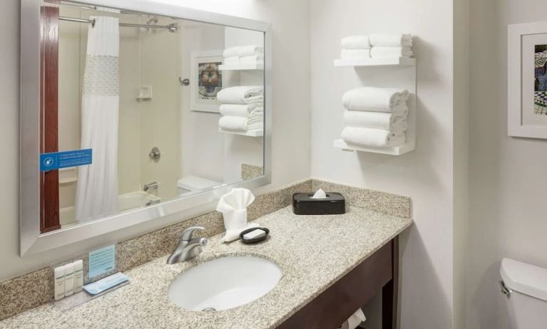 Guest bathroom with shower at Hampton Inn St. Louis-Downtown (At The Gateway Arch).