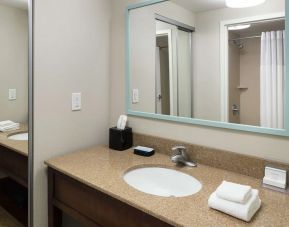 Guest bathroom with shower at Hampton Inn New Smyrna Beach.