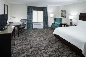 King bed with natural light at Hilton Garden Inn Dothan.