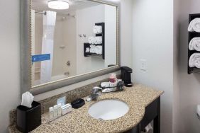 Guest bathroom with shower at Hampton Inn & Suites Gainesville-Downtown.