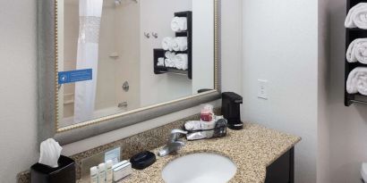 Guest bathroom with shower at Hampton Inn & Suites Gainesville-Downtown.