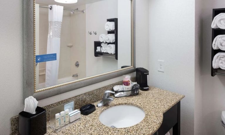 Guest bathroom with shower at Hampton Inn & Suites Gainesville-Downtown.