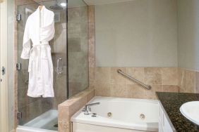 Guest bathroom with shower and bath at Hilton San Antonio Hill Country.