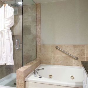 Guest bathroom with shower and bath at Hilton San Antonio Hill Country.