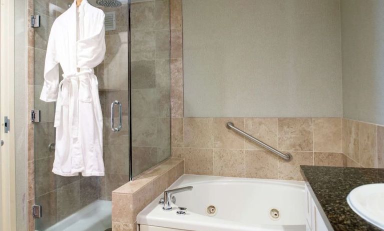 Guest bathroom with shower and bath at Hilton San Antonio Hill Country.