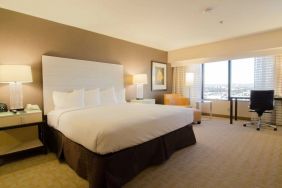 Delux king room with natural light at Hilton Los Angeles Airport.