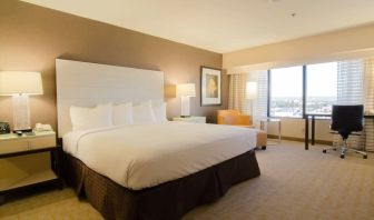 Delux king room with natural light at Hilton Los Angeles Airport.