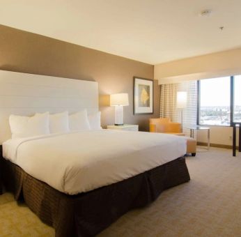 Delux king room with natural light at Hilton Los Angeles Airport.