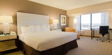 Delux king room with natural light at Hilton Los Angeles Airport.