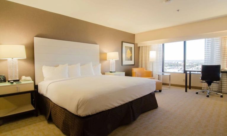 Delux king room with natural light at Hilton Los Angeles Airport.