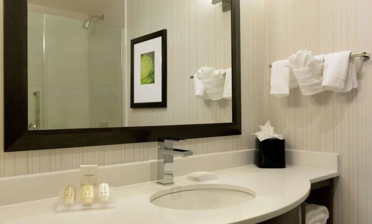 Guest bathroom with shower at Hilton Garden Inn New York/Manhattan-Midtown East.