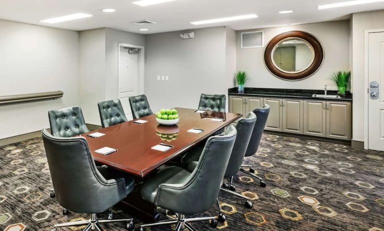 Professional meeting room at Homewood Suites By Hilton Shreveport / Bossier City, LA.