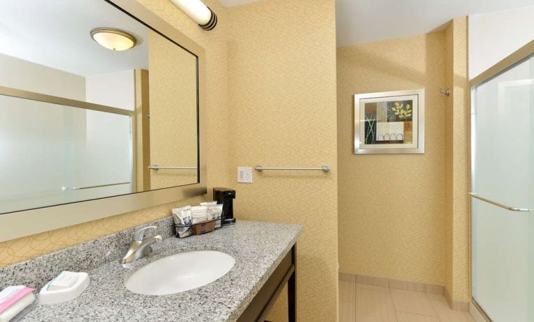 Guest bathroom with shower at Hampton Inn Iowa City/University Area.