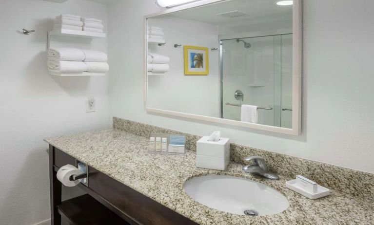 Guest bathroom with shower at Hampton Inn & Suites Miami-Doral/Dolphin Mall.