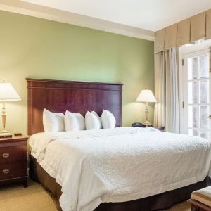 Delux king room with natural light at Hampton Inn & Suites Birmingham-Downtown-Tutwiler.