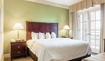 Delux king room with natural light at Hampton Inn & Suites Birmingham-Downtown-Tutwiler.