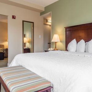 Spacious king room at Hampton Inn & Suites Birmingham-Downtown-Tutwiler.