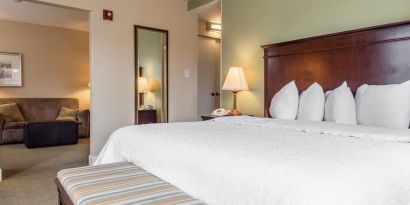 Spacious king room at Hampton Inn & Suites Birmingham-Downtown-Tutwiler.