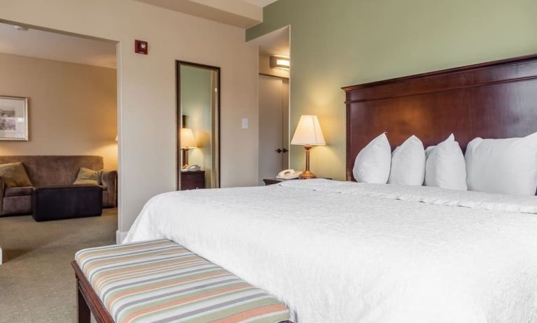 Spacious king room at Hampton Inn & Suites Birmingham-Downtown-Tutwiler.