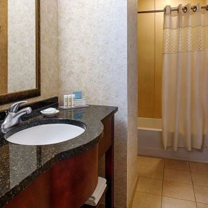 Guest bathroom with shower at Hampton Inn & Suites Birmingham-Downtown-Tutwiler.