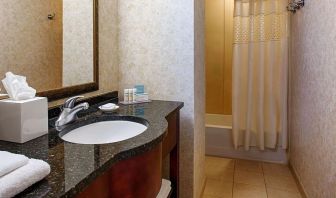 Guest bathroom with shower at Hampton Inn & Suites Birmingham-Downtown-Tutwiler.