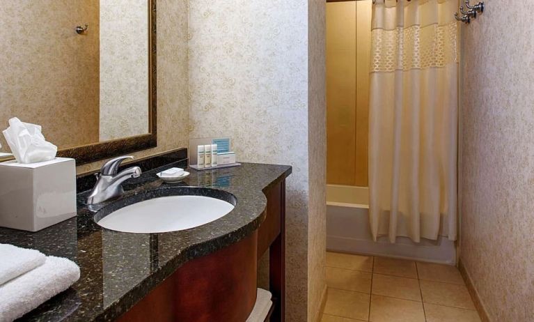 Guest bathroom with shower at Hampton Inn & Suites Birmingham-Downtown-Tutwiler.