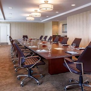 Professional meeting room at Hampton Inn & Suites Birmingham-Downtown-Tutwiler.