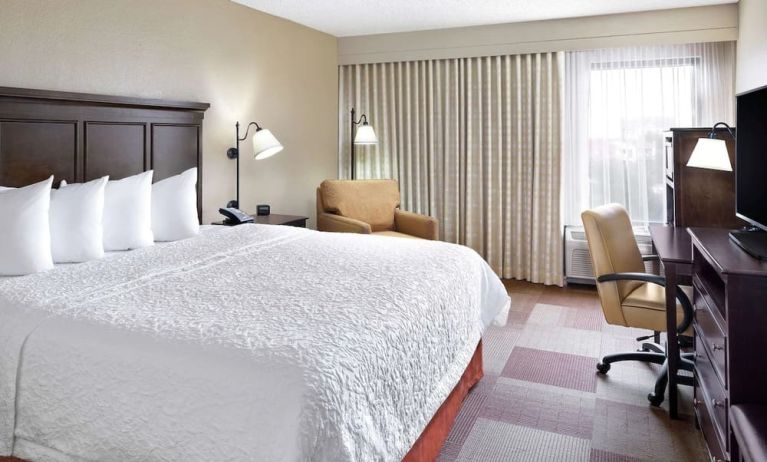 King bed with natural light at Hampton Inn Dallas-Irving-Las Colinas.