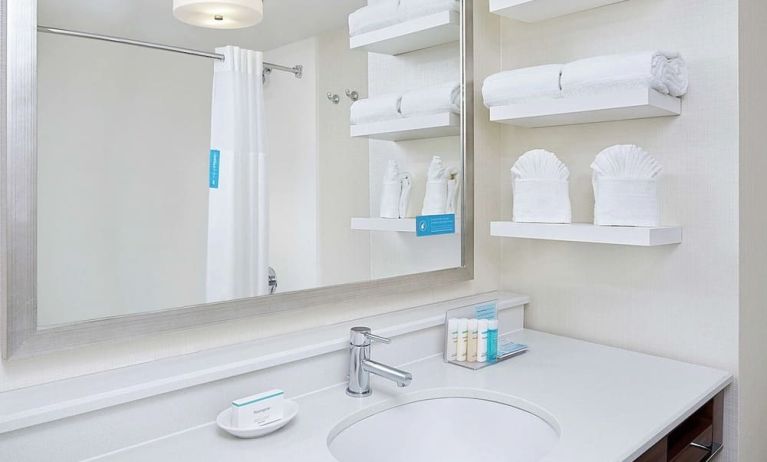 Guest bathroom with shower at Hampton Inn Dallas-Irving-Las Colinas.