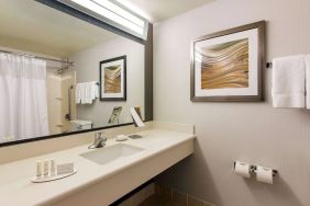 Guest bathroom with shower at Sonesta Emeryville - San Francisco Bay Bridge.