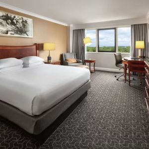 Delux king room with natural light at Hilton Short Hills.