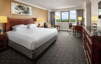 Delux king room with natural light at Hilton Short Hills.