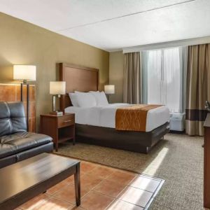 Comfort Inn & Suites Triadelphia