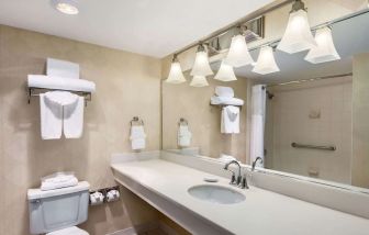 Guest bathroom with shower at Wyndham Garden Dallas North.