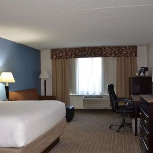 King room with natural light at Radisson Hotel Schaumburg.