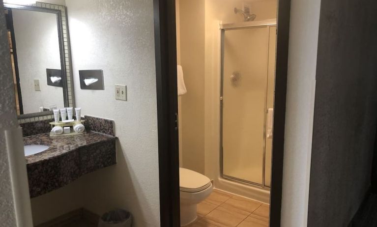 Private guest bathroom at Radisson Hotel Schaumburg.