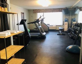 Fitness center available Delux king room bath at Radisson Hotel Schaumburg.