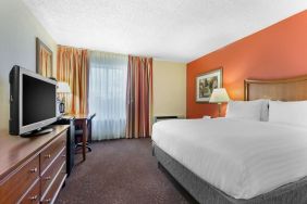 Delux king room with TV at Holiday Inn Express Chicago - Downers Grove.