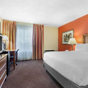 Delux king room with TV at Holiday Inn Express Chicago - Downers Grove.