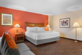 King bed with lounge area at Holiday Inn Express Chicago - Downers Grove.